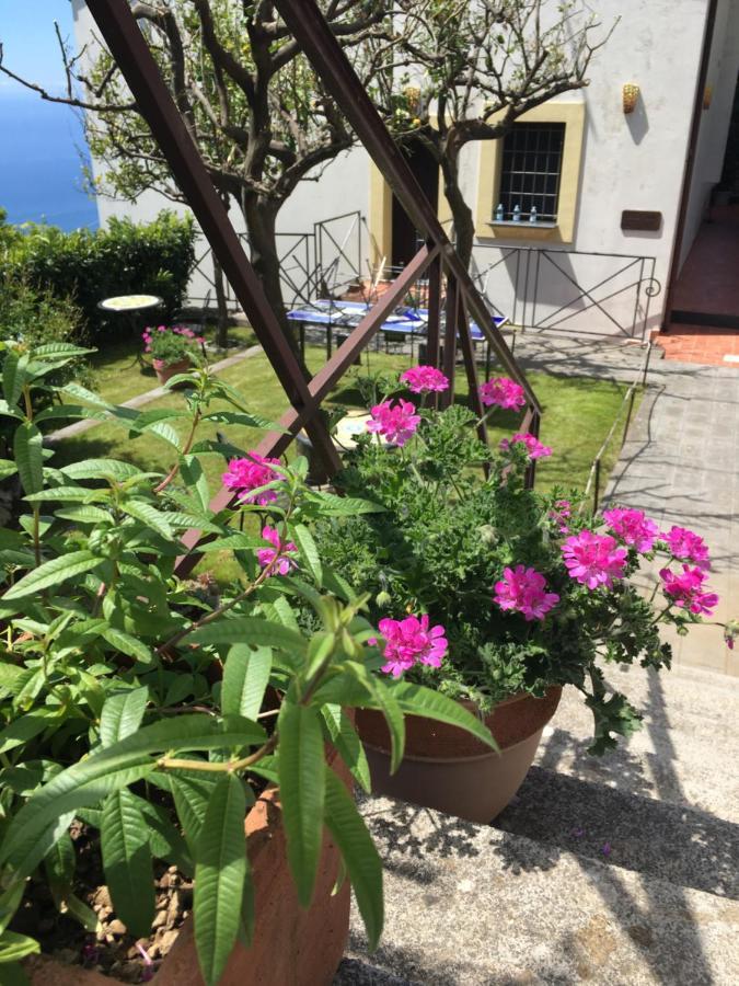 Villa L' Eco Dell' 800 弗洛里 外观 照片
